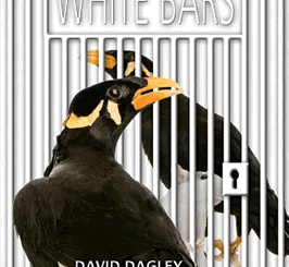 White Bars David Dagley