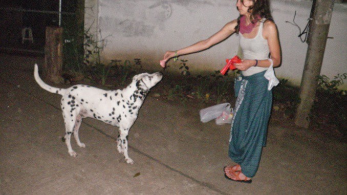 Women of Cho Dog